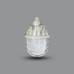 Đèn phòng chống cháy nổ BCD400 chính hãng Paragon