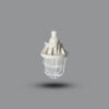 Đèn phòng nổ Paragon BCD200 20w dùng bóng tuýp Bulb