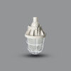 Đèn sự cố chống nổ BCD 250 chính hãng Paragon 30w