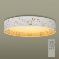 Đèn ốp trần phòng khách hiện đại HH-LAZ181488 Panasonic 21w