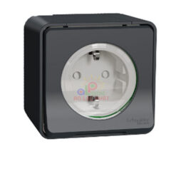 Ổ cắm điện Schneider 16A 2P+E Mureva cao cấp IP55 và IK08